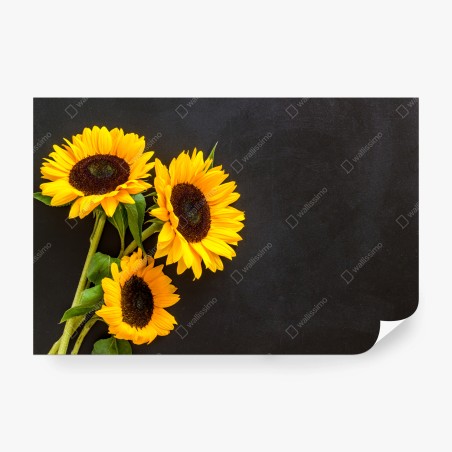 Wall mural sunflower bouquet on chalkboard background • Wallissimo®