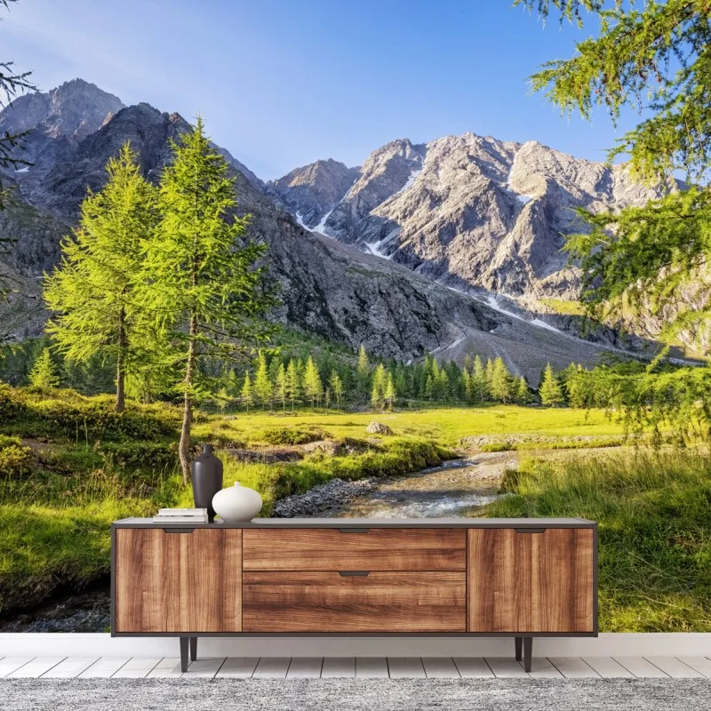 Wall mural alpine mountain meadow with stream