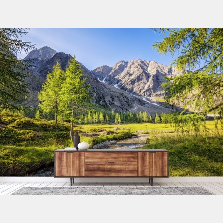 Wall mural alpine mountain meadow with stream • Wallissimo®