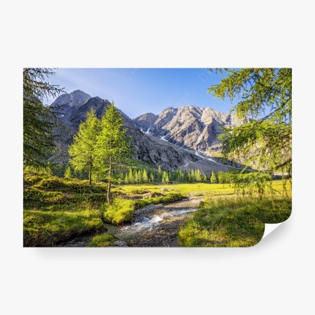 Wall mural alpine mountain meadow with stream • Wallissimo®
