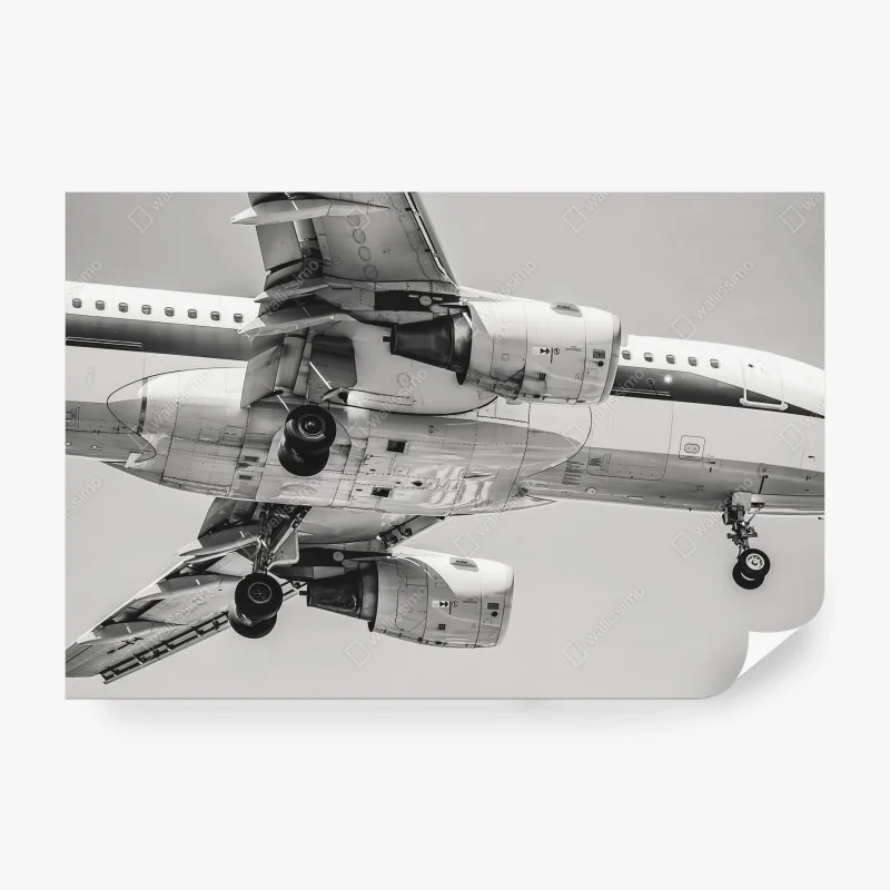 Wall mural underneath view of a jet aircraft