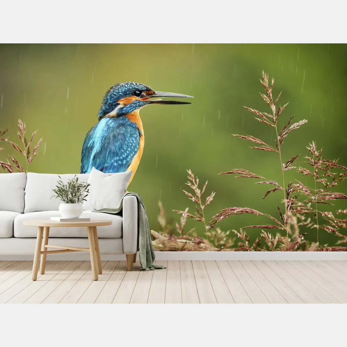 Wall mural vibrant kingfisher in the rain • Wallissimo®