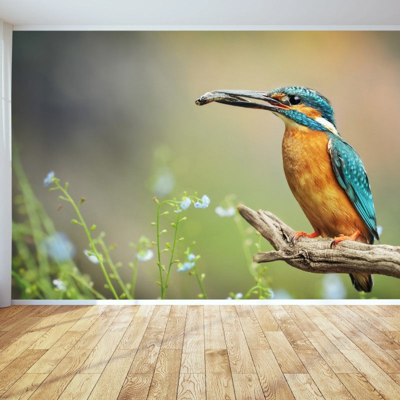 Wall mural kingfisher on branch with fish