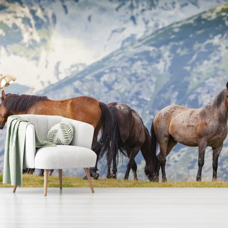 Wall mural horses on alpine hillside