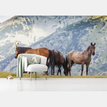 Wall mural horses on alpine hillside • Wallissimo®