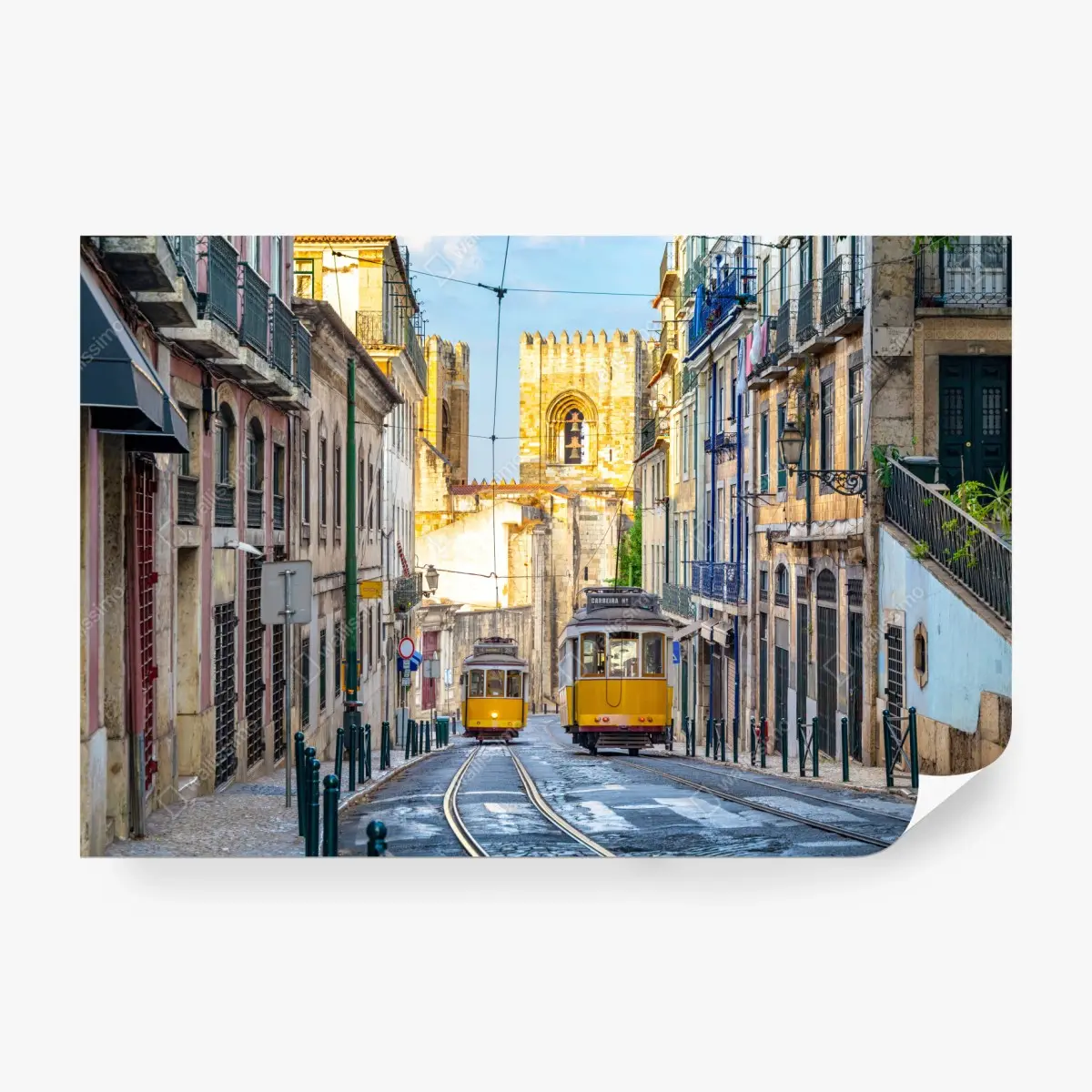 Wall mural sunlit trams on Lisbon's historic street ⁕ Wallissimo®