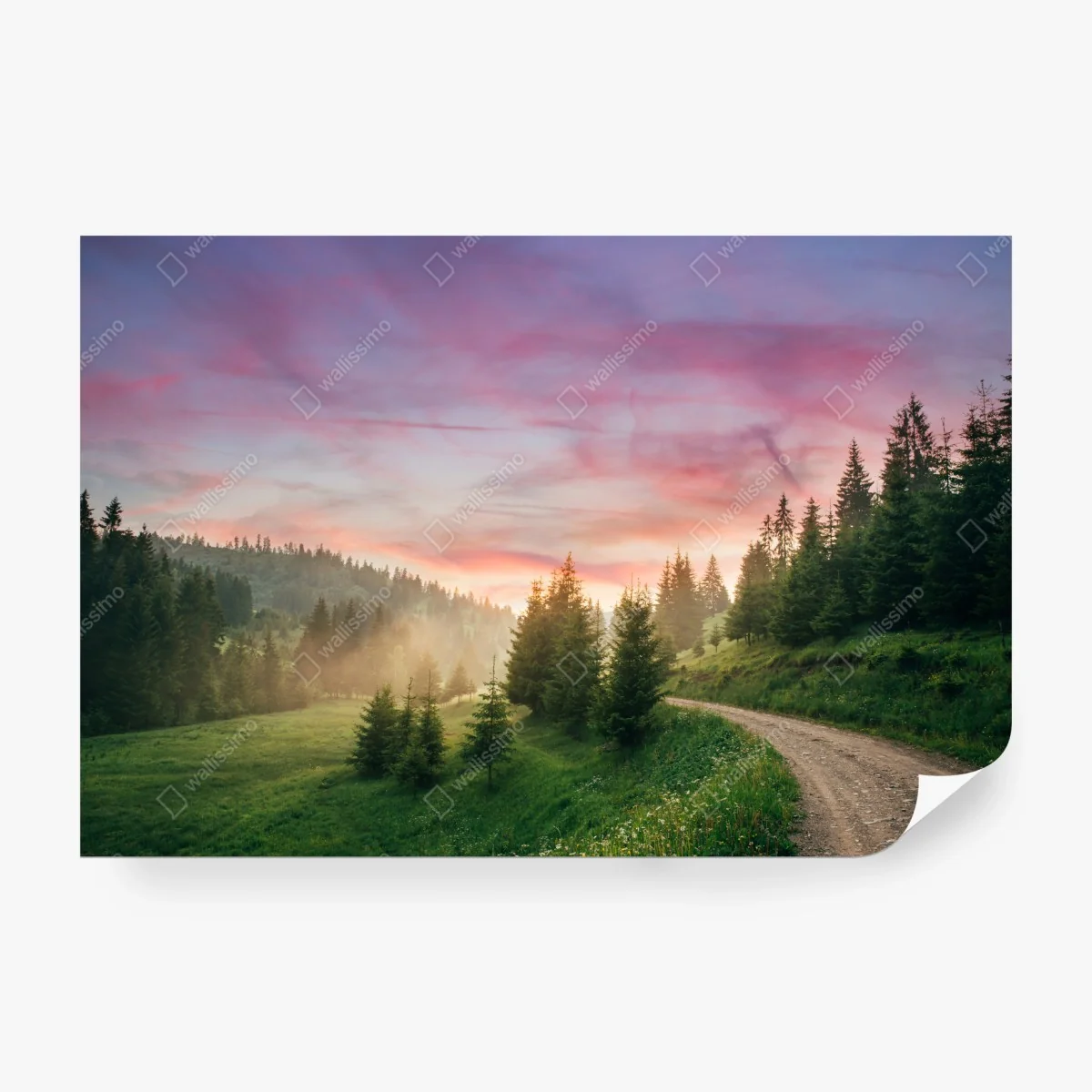 Wall mural misty sunset in the pine forest • Wallissimo® Wall mural misty sunset in the pine forest • Wallissimo®