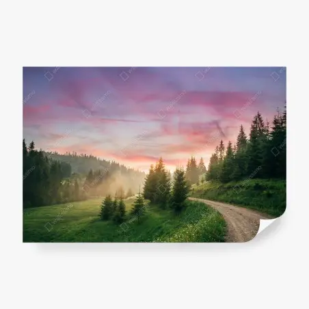 Wall mural misty sunset in the pine forest • Wallissimo®