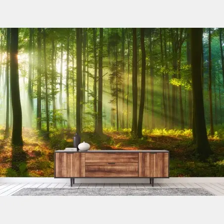 Wall mural morning light in a green forest • Wallissimo®