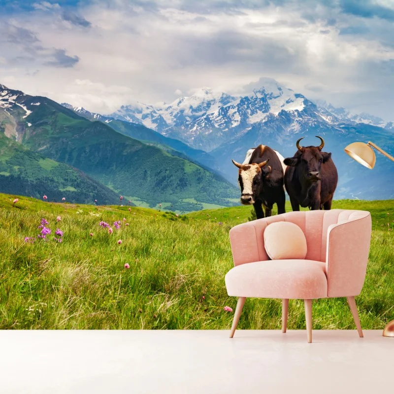 Wall mural alpine meadow with grazing cows