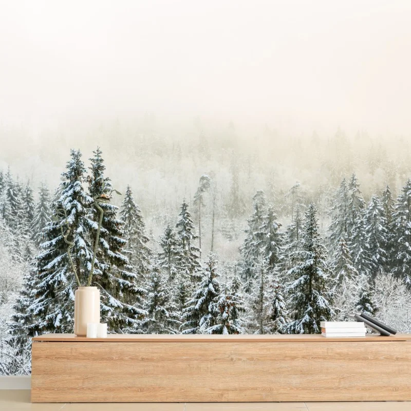 Wall mural winter forest in soft fog