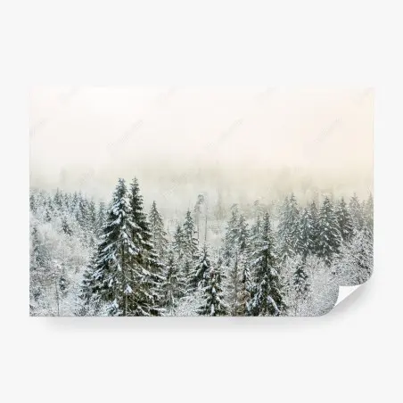 Wall mural winter forest in soft fog • Wallissimo®