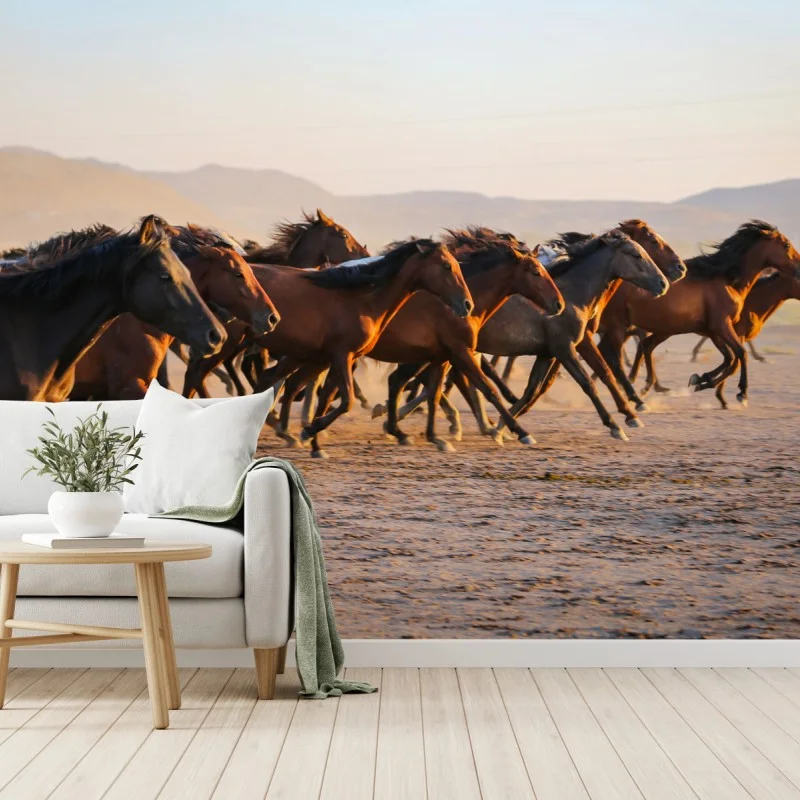 Wall mural yilki horses running in Kayseri field