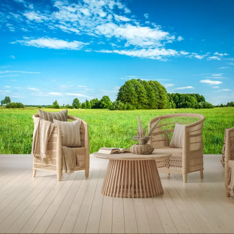 Wall mural sunlit green meadow under a blue sky
