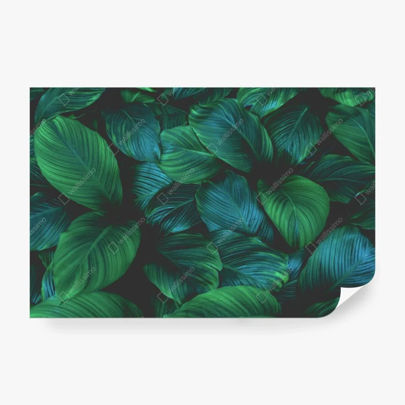 Wall mural lush tropical leaves art