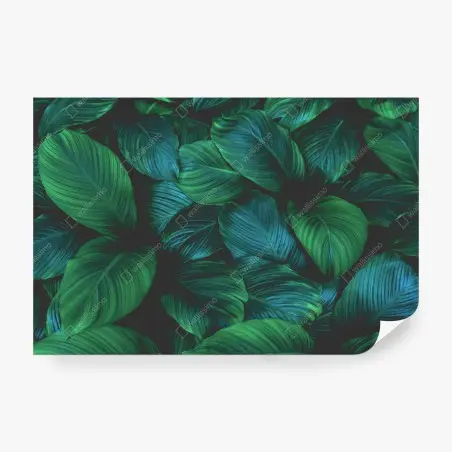 Wall mural lush tropical leaves art • Wallissimo®