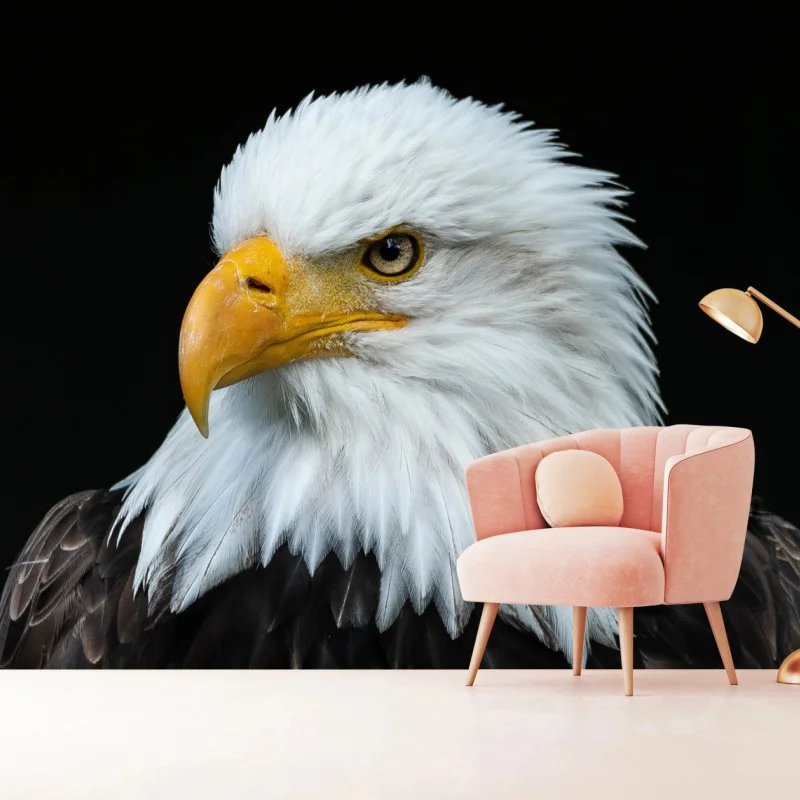 Wall mural majestic bald eagle portrait