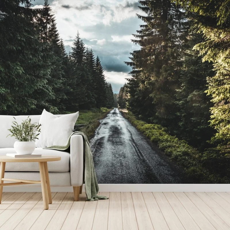 Wall mural forest road through misty pines