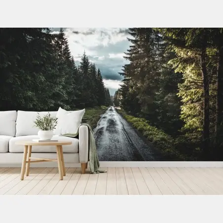 Wall mural forest road through misty pines • Wallissimo®