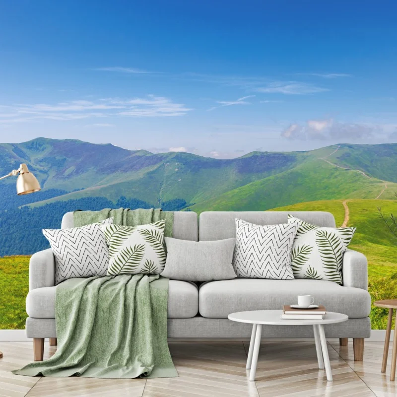 Wall mural sunny Borzhava ridge meadow, Transcarpathia, Ukraine