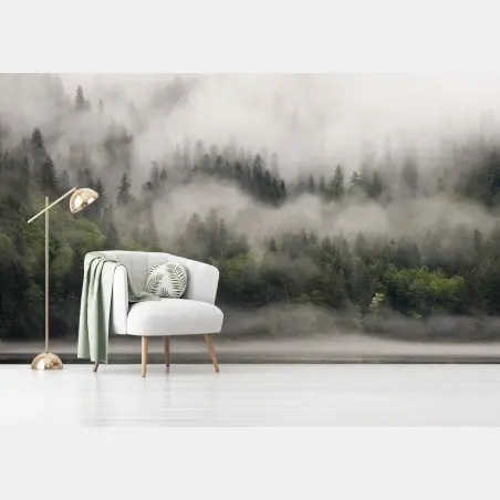 Wall mural misty coastal forest, British Columbia • Wallissimo®