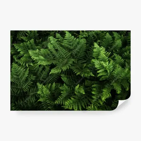 Wall mural lush green fern foliage • Wallissimo®