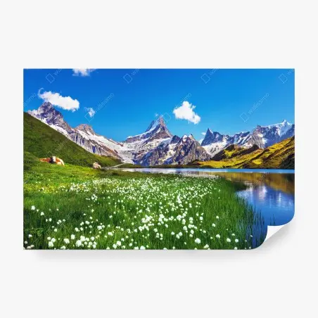 Wall mural alpine mountain lake with wildflower meadow • Wallissimo®