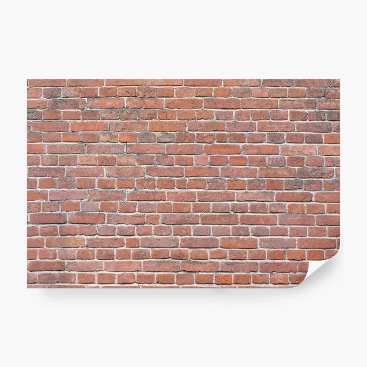 Wall mural exposed red brick wall texture • Wallissimo®