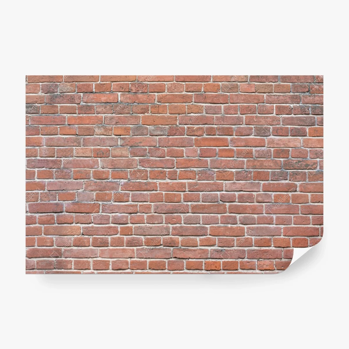 Wall mural exposed red brick wall texture • Wallissimo®