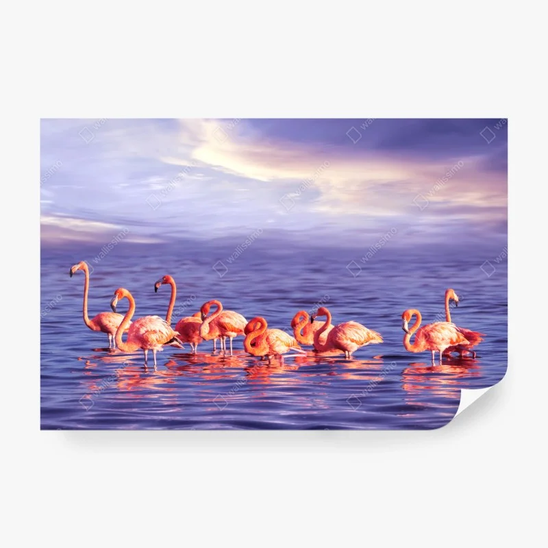 Wall mural pink flamingos in purple sunset