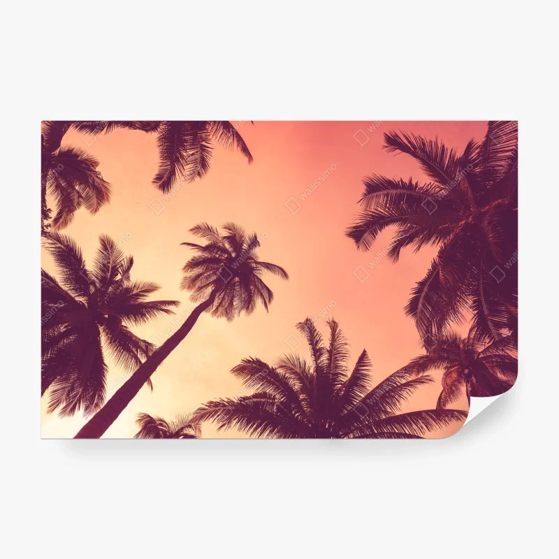 Wall mural tropical palms at sunset