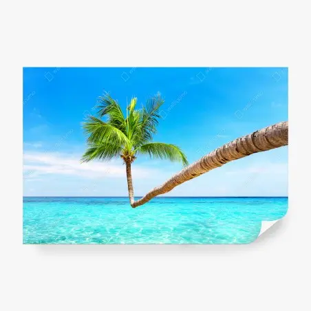 Wall mural tropical palm in Punta Cana • Wallissimo®