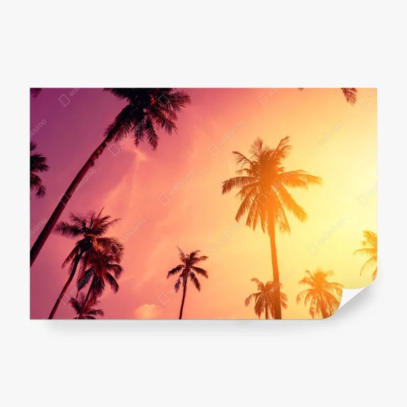 Wall mural tropical palm sunset