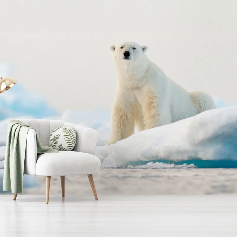 Wall mural polar bear on Arctic ice, Svalbard