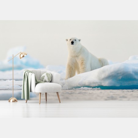 Wall mural polar bear on Arctic ice, Svalbard • Wallissimo®