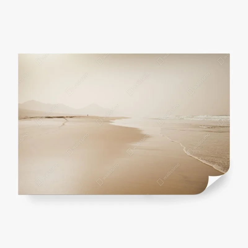 Wall mural serene sepia beachscape