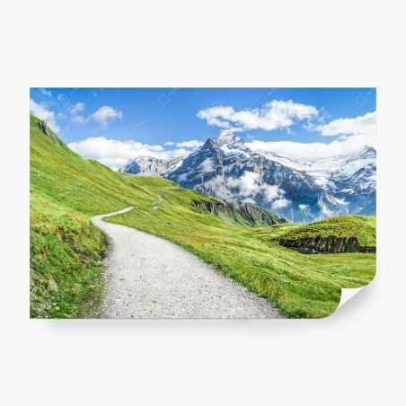 Wall mural alpine mountain trail panorama • Wallissimo®