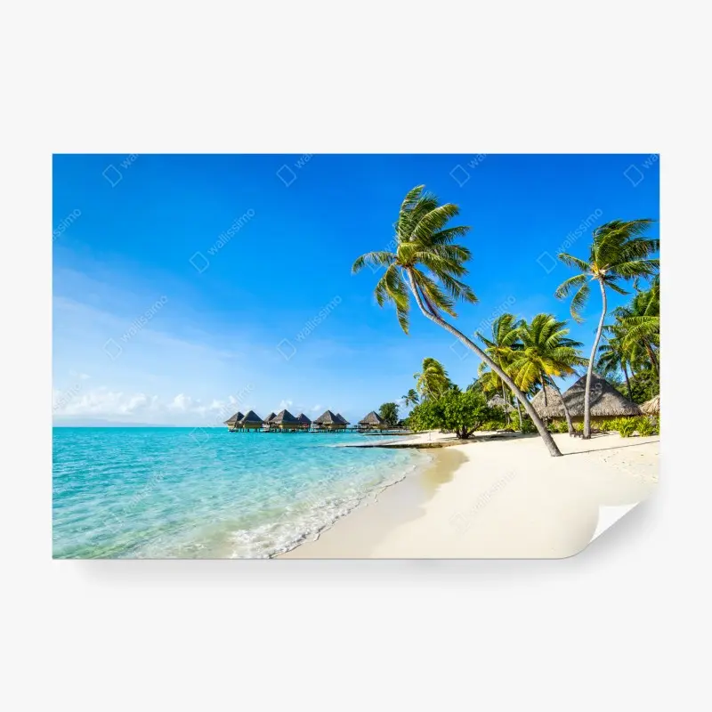Wall mural tropical turquoise beach with palm trees