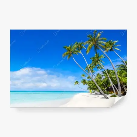 Wall mural tropical palm beach paradise • Wallissimo®