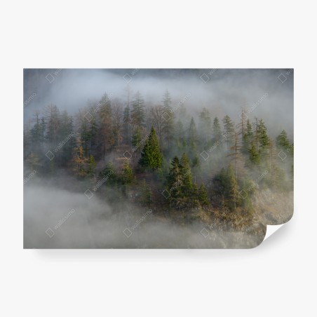 Wall mural misty mountain forest • Wallissimo®