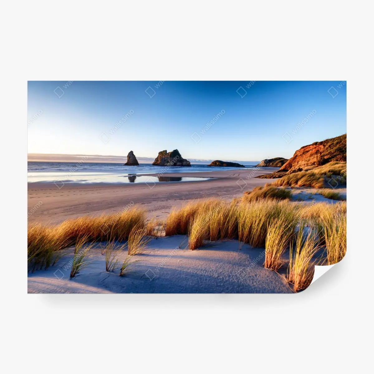 Wall mural Wharariki Beach coastal sunrise • Wallissimo®