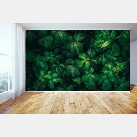 Wall mural lush tropical green foliage • Wallissimo®