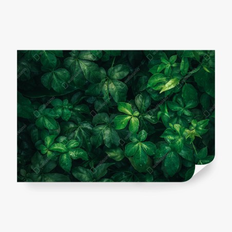 Wall mural lush tropical green foliage • Wallissimo®