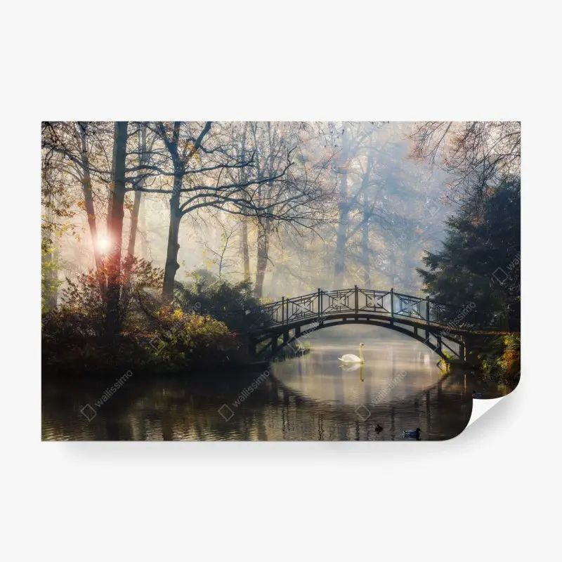 Wall mural misty autumn bridge with swan