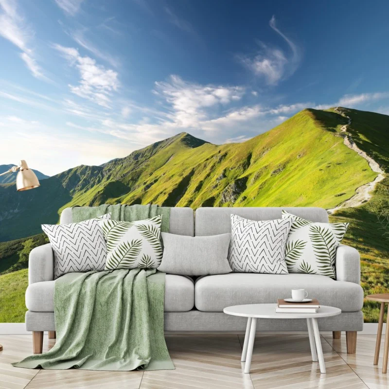 Wall mural sunlit mountain ridge trail