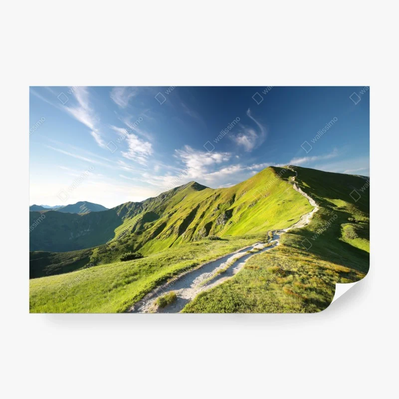 Wall mural sunlit mountain ridge trail