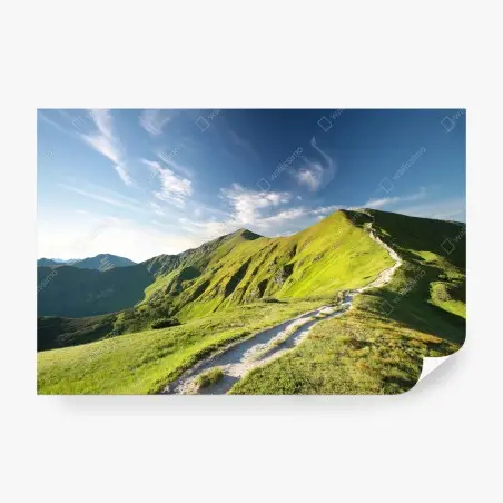 Wall mural sunlit mountain ridge trail • Wallissimo®