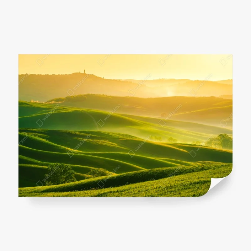 Wall mural golden sunrise over rolling green hills