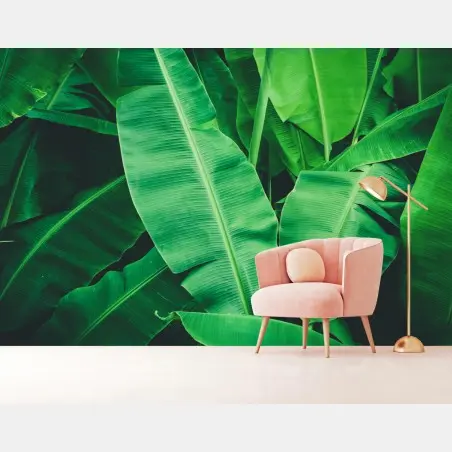 Wall mural lush tropical banana leaves • Wallissimo®