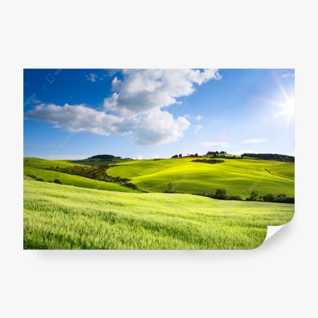 Wall mural Tuscany rolling hills at sunset • Wallissimo®